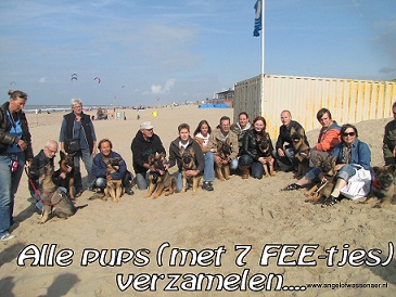 DHCN strand wandeling, groepsfoto met de pups waaronder 7 FEE-tjes